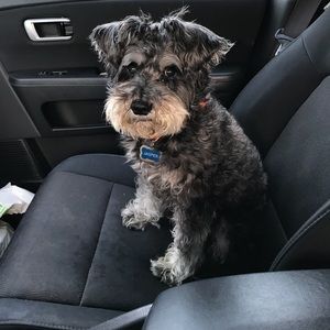 Meet your Posher, Kay